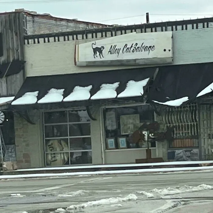 Cat Shaped Snow At A Cat Named Store After The Winter Freeze