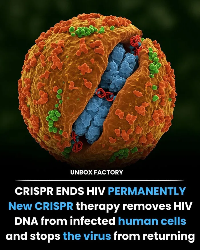 The End Of HIV Is Near!