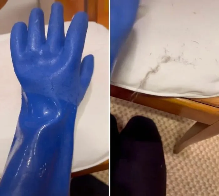 Rubber Gloves for Removing Pet Hair