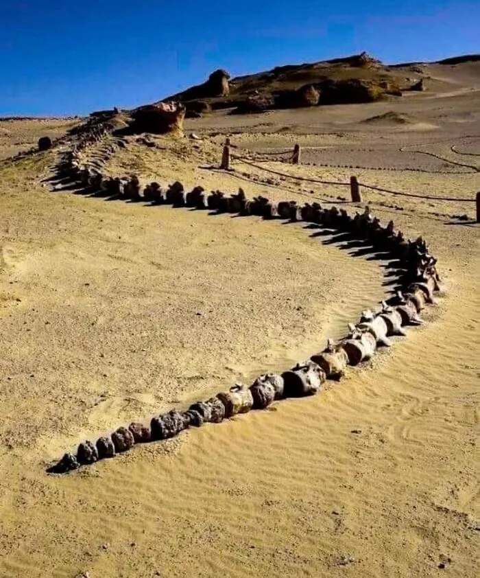 This FB Page Shares Interesting Facts And Pics And These 69 Are Truly Interesting