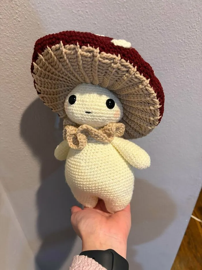 Amigo seta