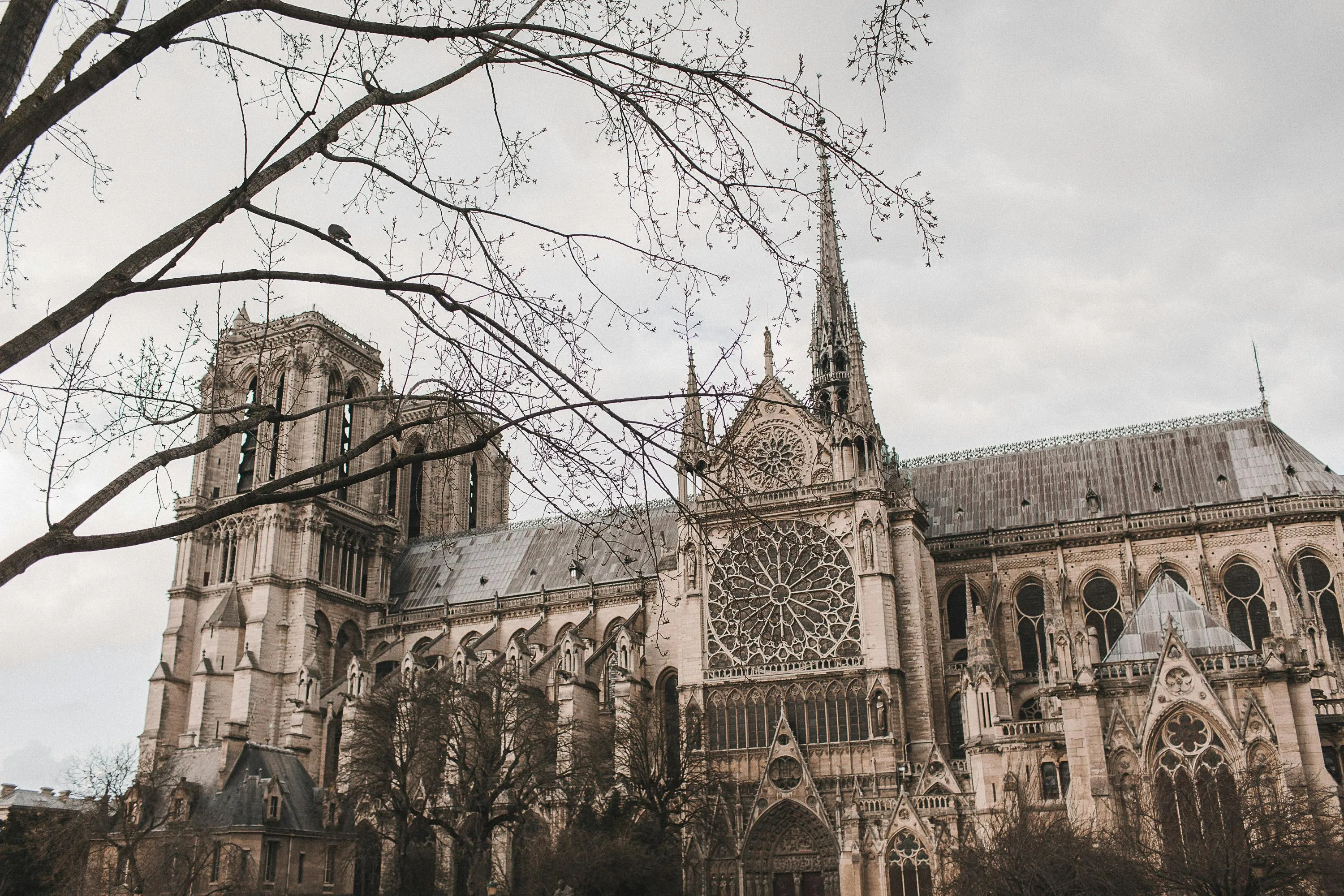 Notre Dame Cathedral in Paris with Gothic architecture, rose windows, spires, and leafless tree branches in foreground.