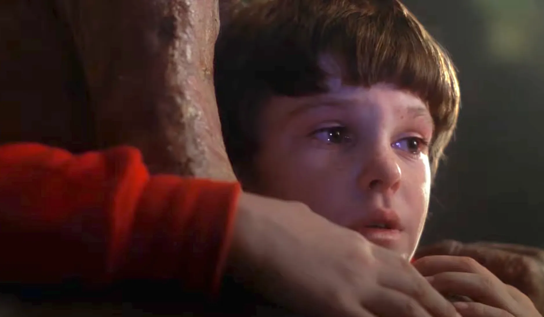 Young boy in a red shirt from a famous 80s film showing a friendship between a boy and an alien, celebs from the 80s