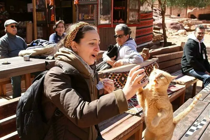 High-Five Derp Cat