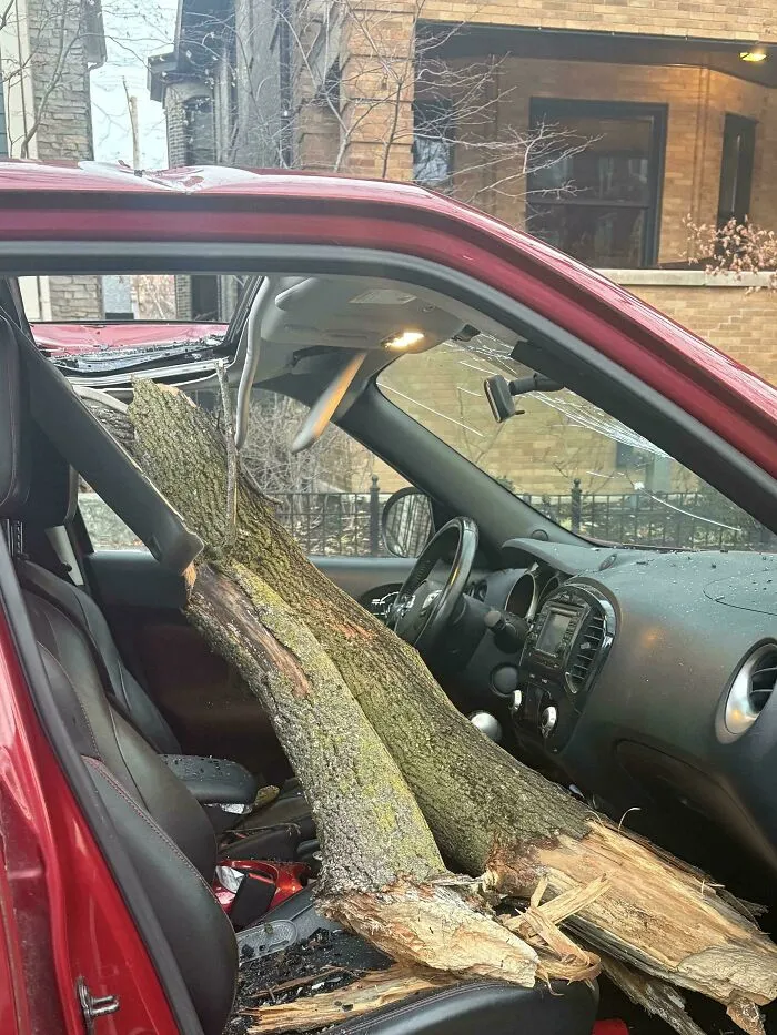 Encontrado a las 7 de la mañana del lunes.