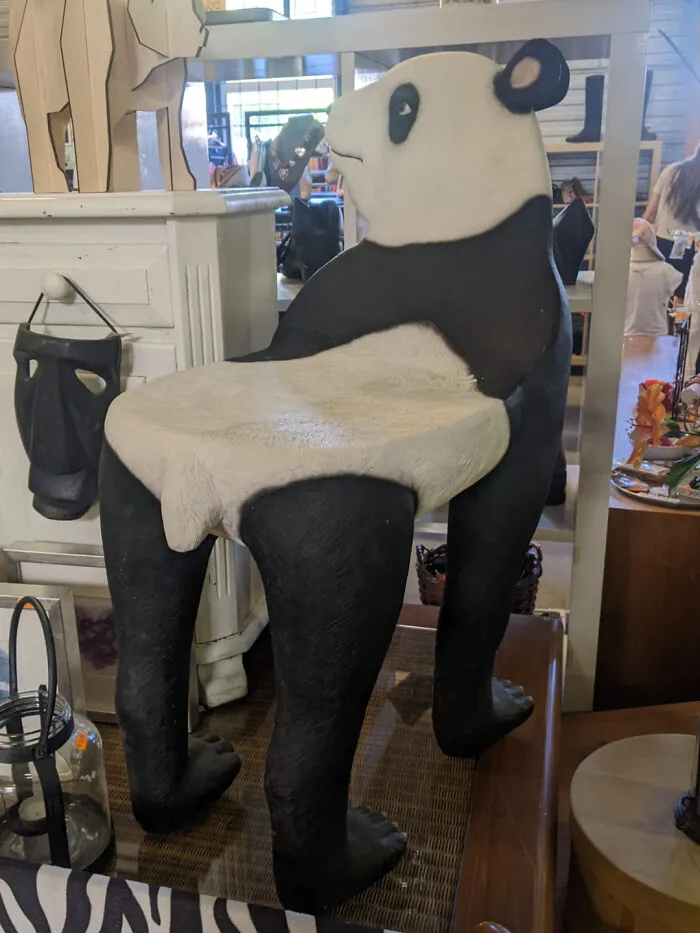 Panda Chair At Local Thrift Store