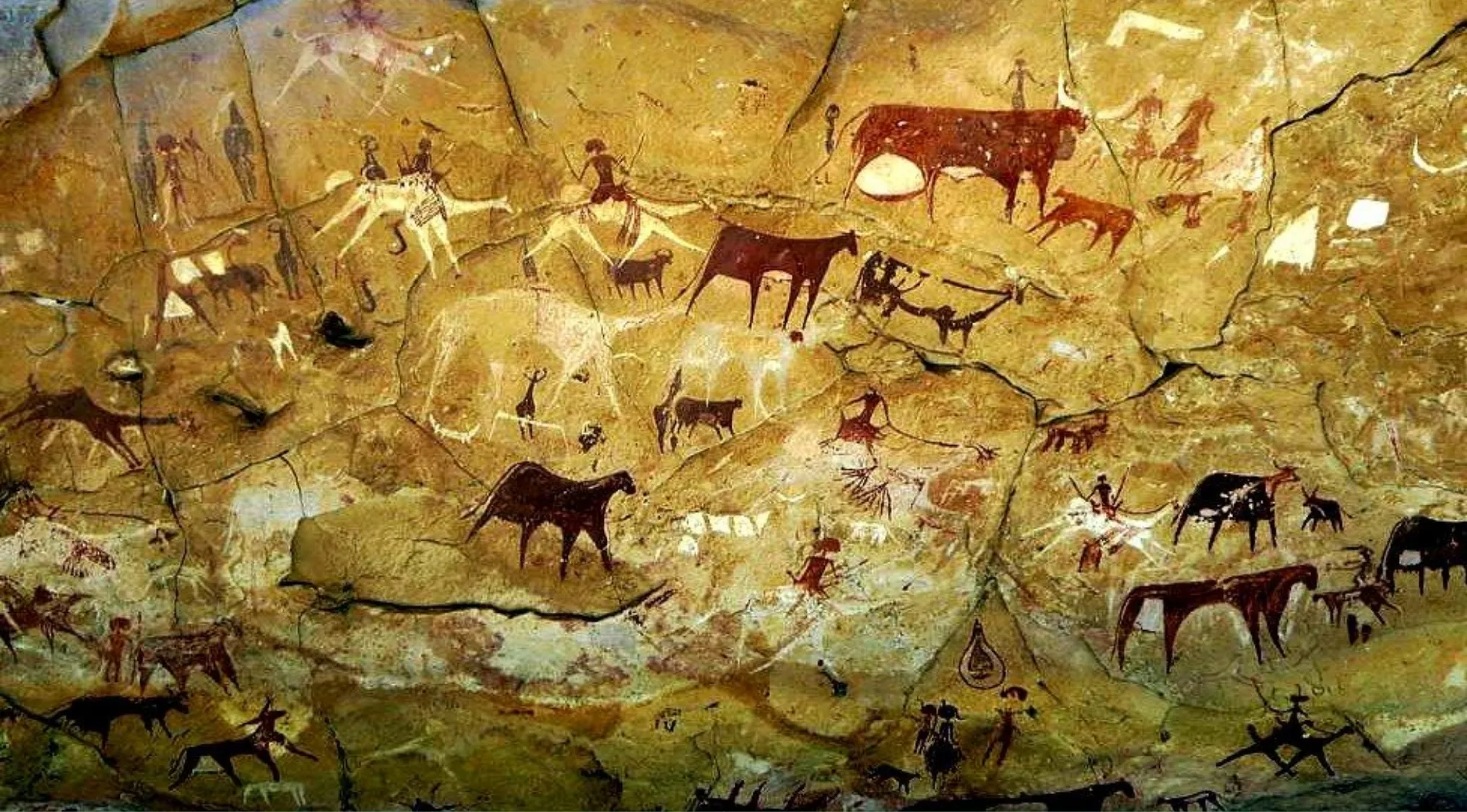 Ancient cave paintings depicting animals and human figures revealing early humans' lifestyle and environment.