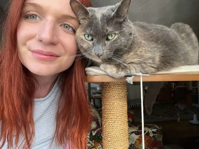 Woman Keeps Traveling By Taking Care Of Other People’s Cats, And These 68 New Pics Show The Reality Of The Job