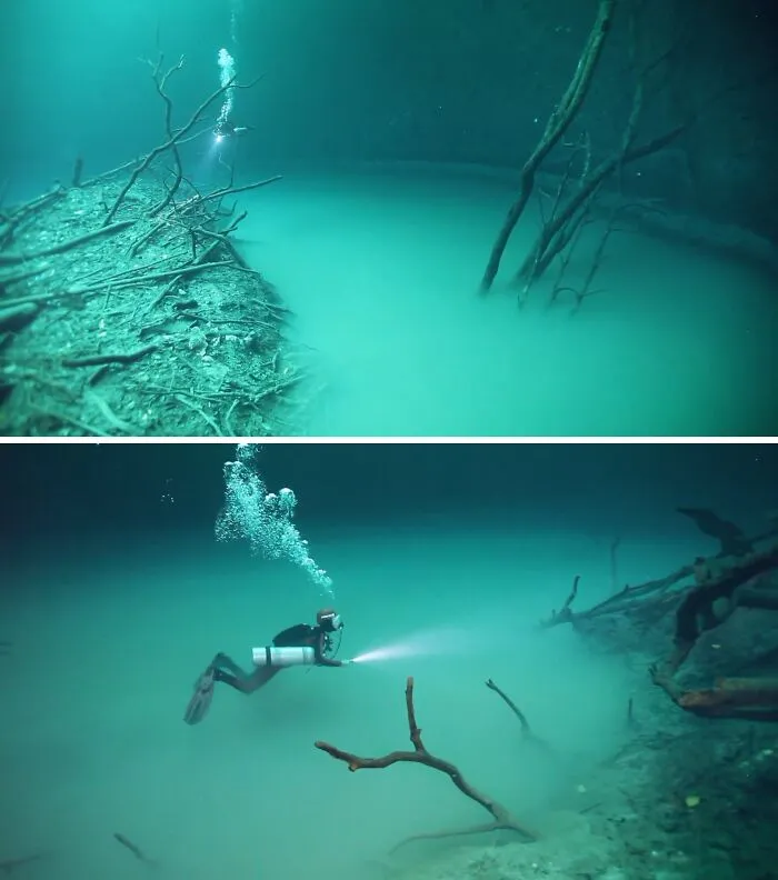 Cenote Angelita: "Underwater River"