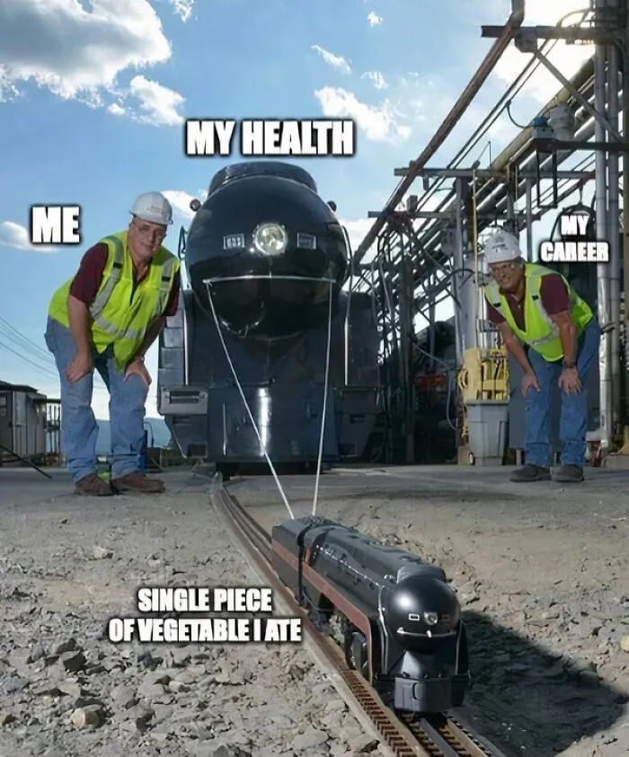 Humorous healthcare meme showing two men labeled me and my career inspecting a large train labeled my health.