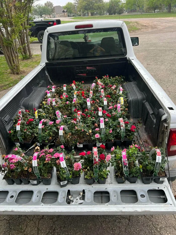 Spring Time Jackpot!