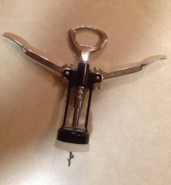 Soy un mal padre, convencí a mis hijos de que esto es un extractor de ojos.