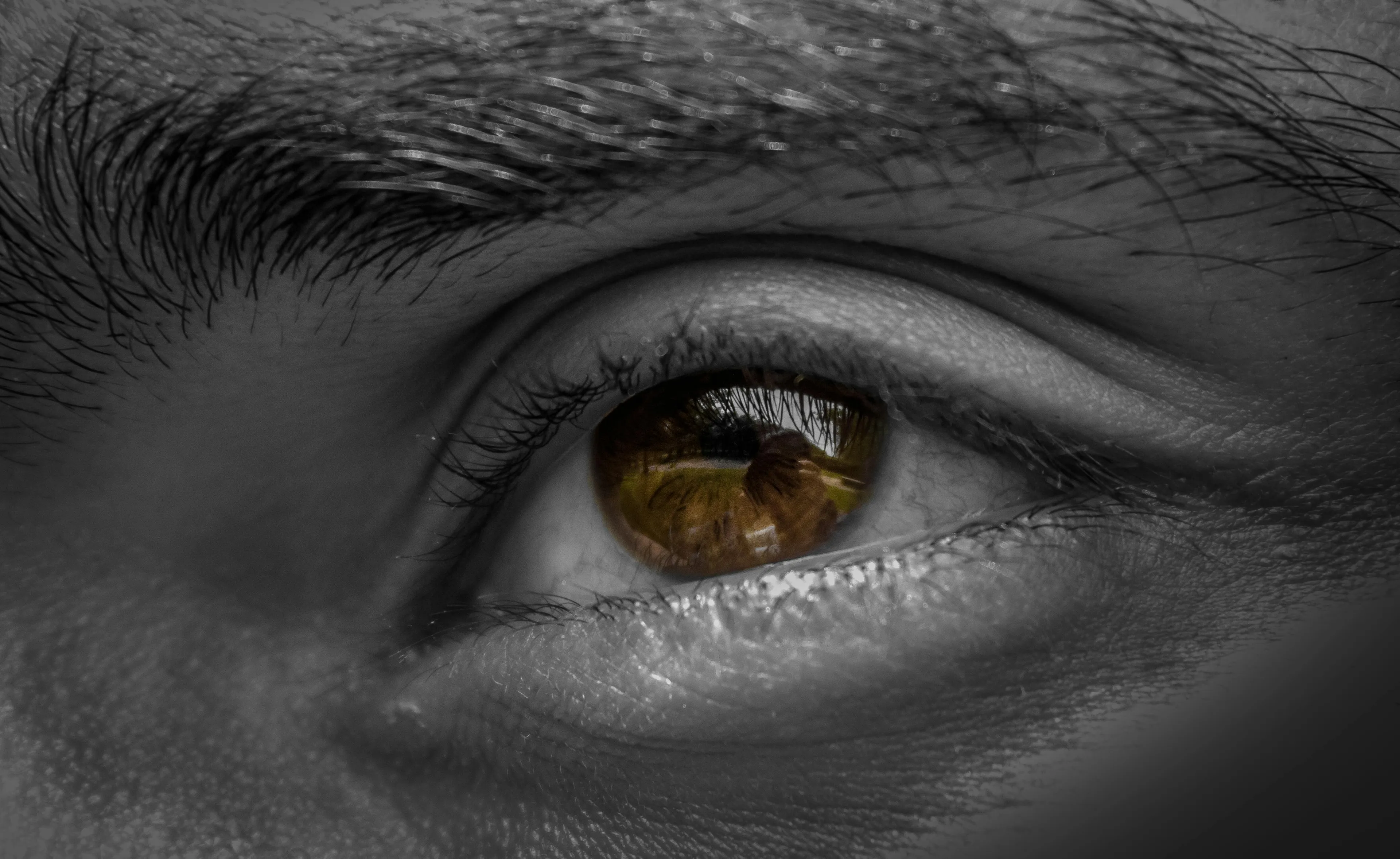 Close-up of a human eye showing the iris, the part controlling how much light enters the eye.