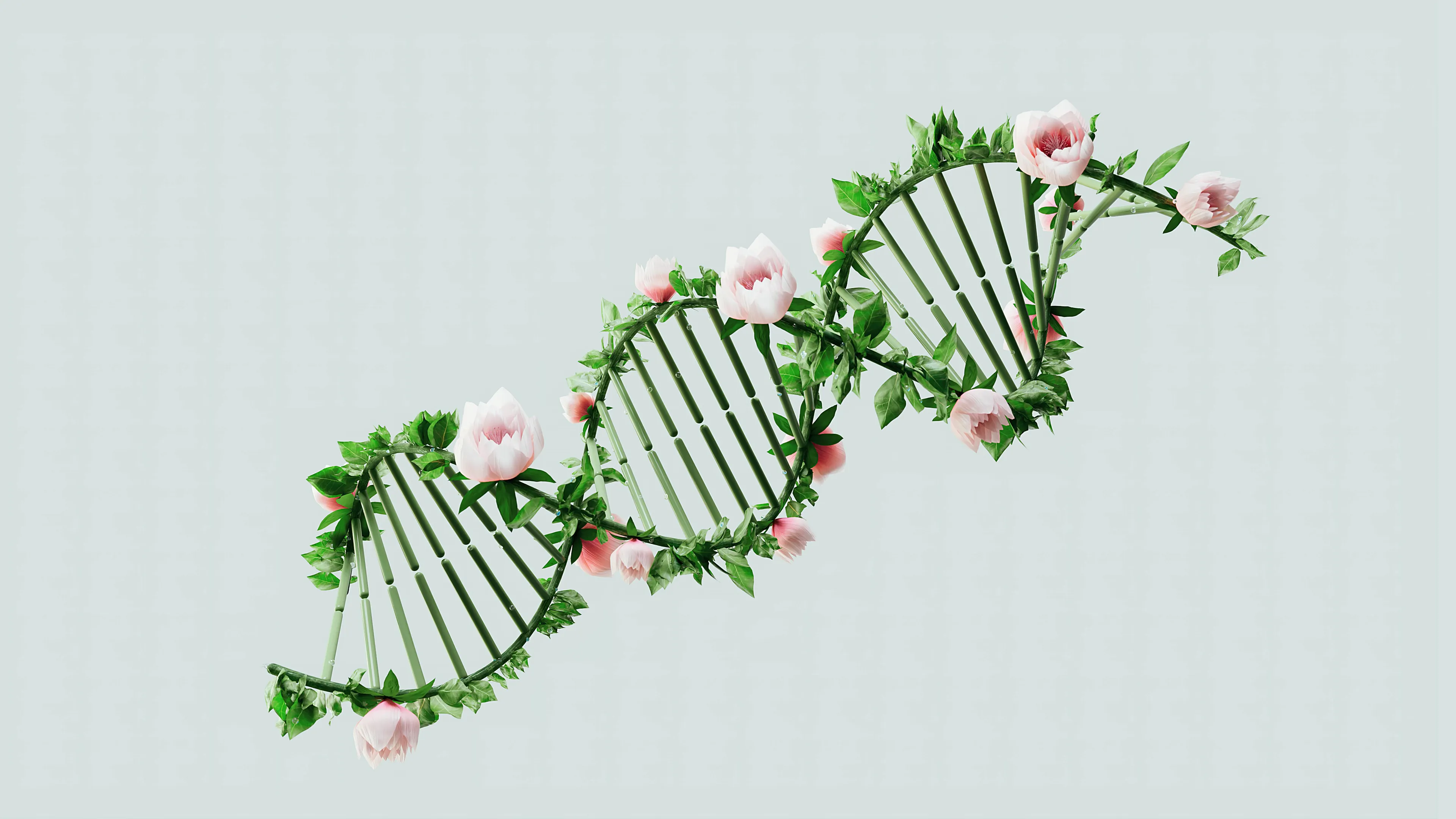 DNA double helix model intertwined with green leaves and pink flowers representing genetics and gene versions.
