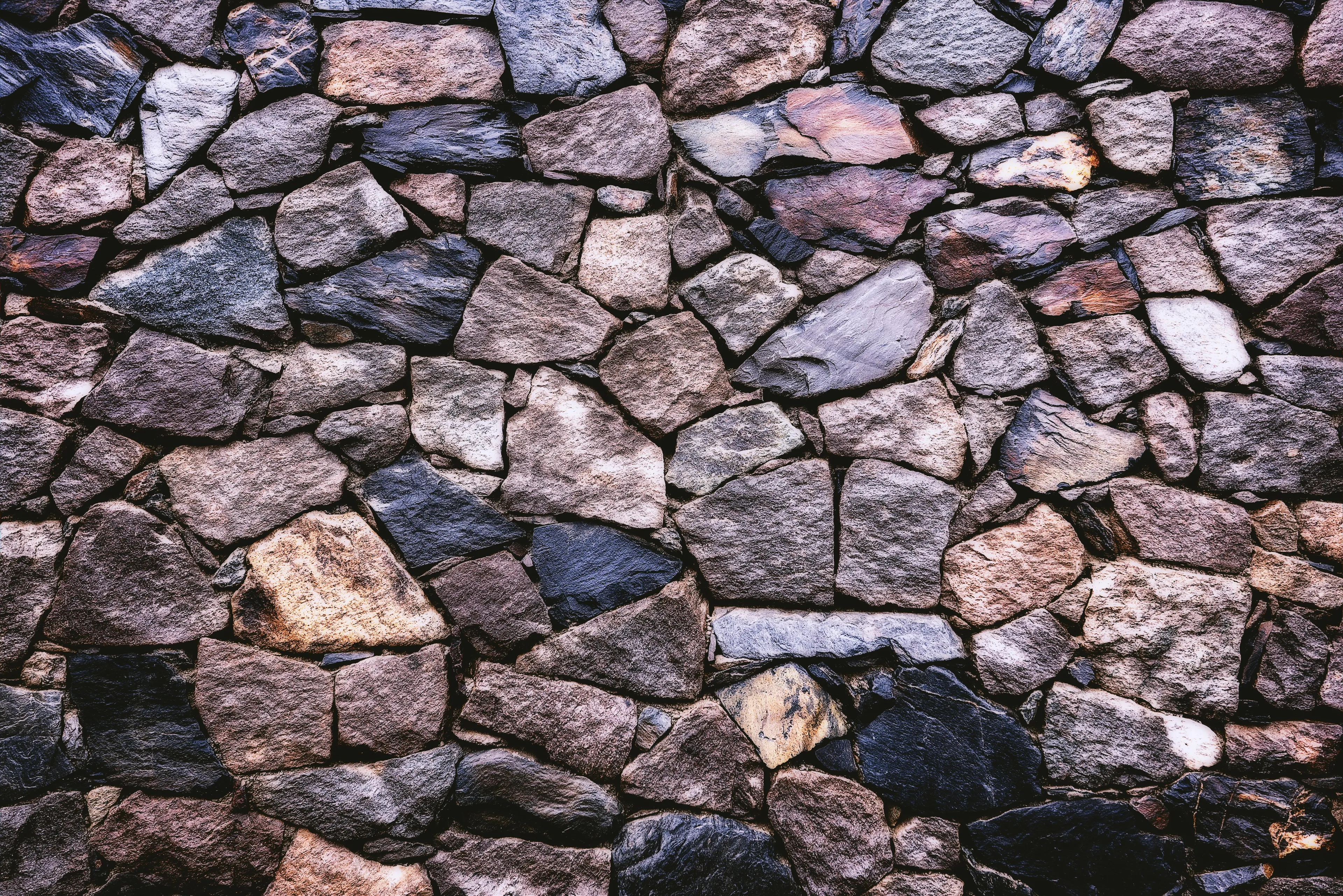 Layered rock wall with compressed sand and fossilized shells representing sedimentary rock features.