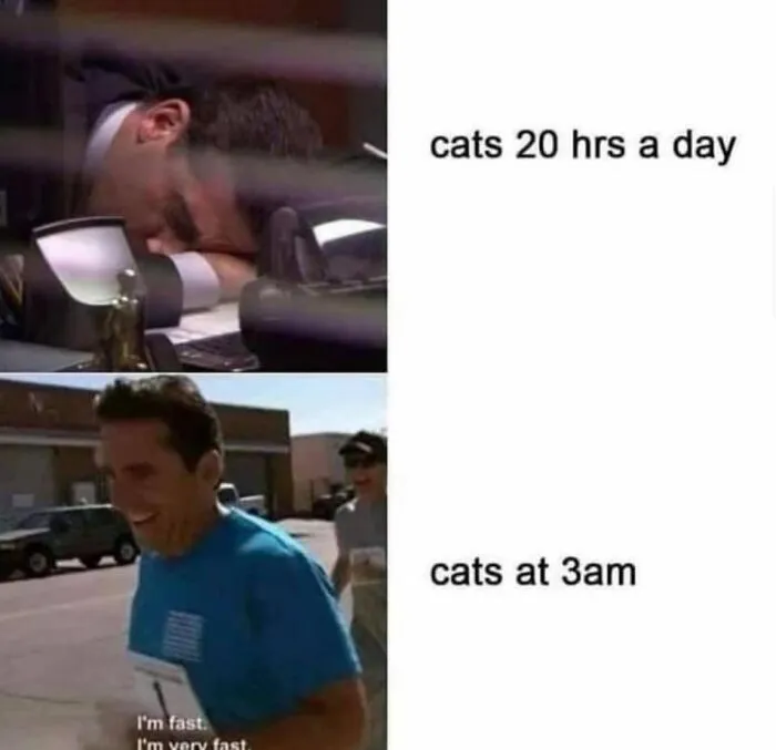 Man sleeping at desk vs man running fast outdoors, humorous cat meme showing energy contrast, funny memes for low energy moments.