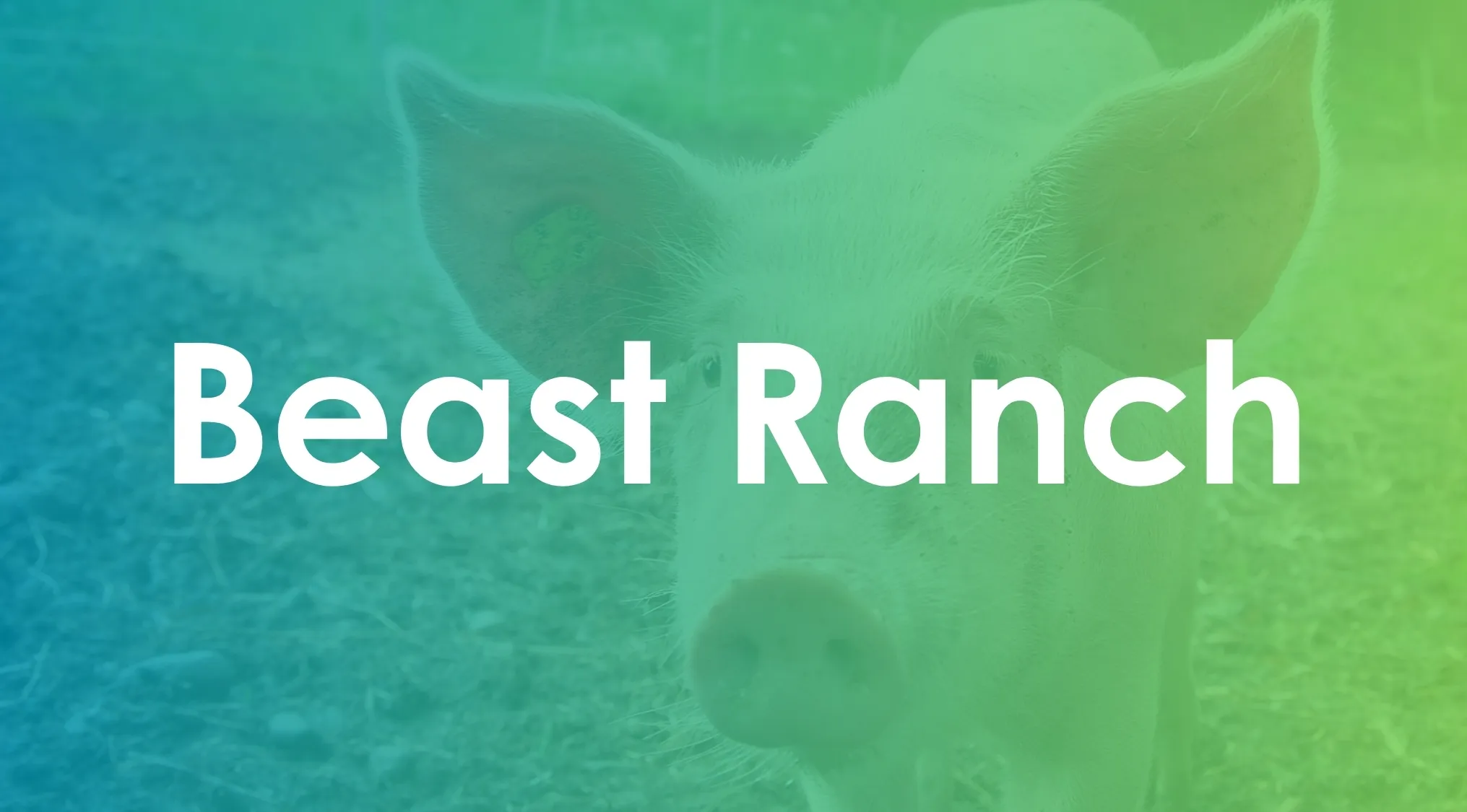 Pig with Beast Ranch text overlay on a green and blue background, relating to book title synonyms.