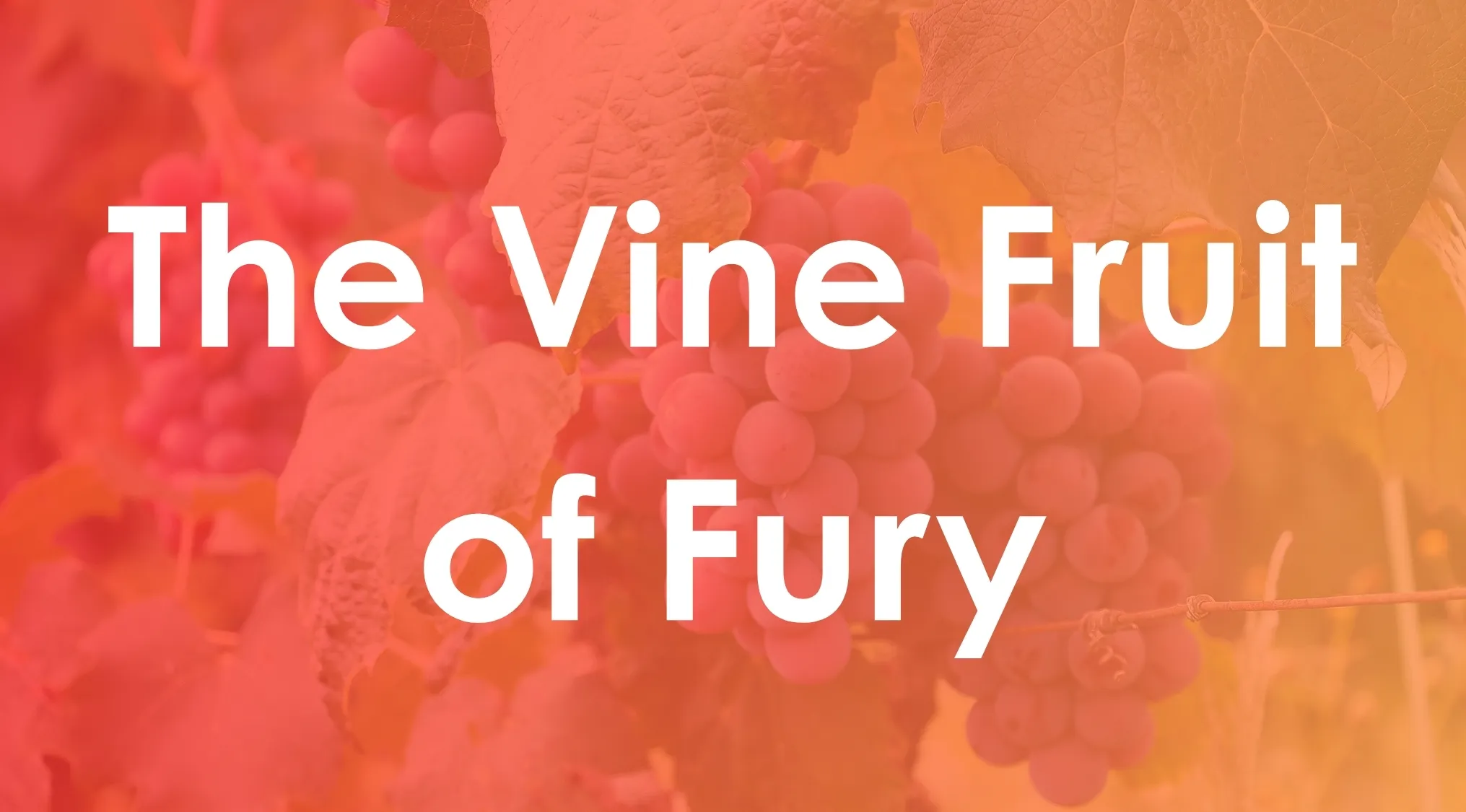The vine fruit of fury book title synonym text over grapevine background in soft orange tones