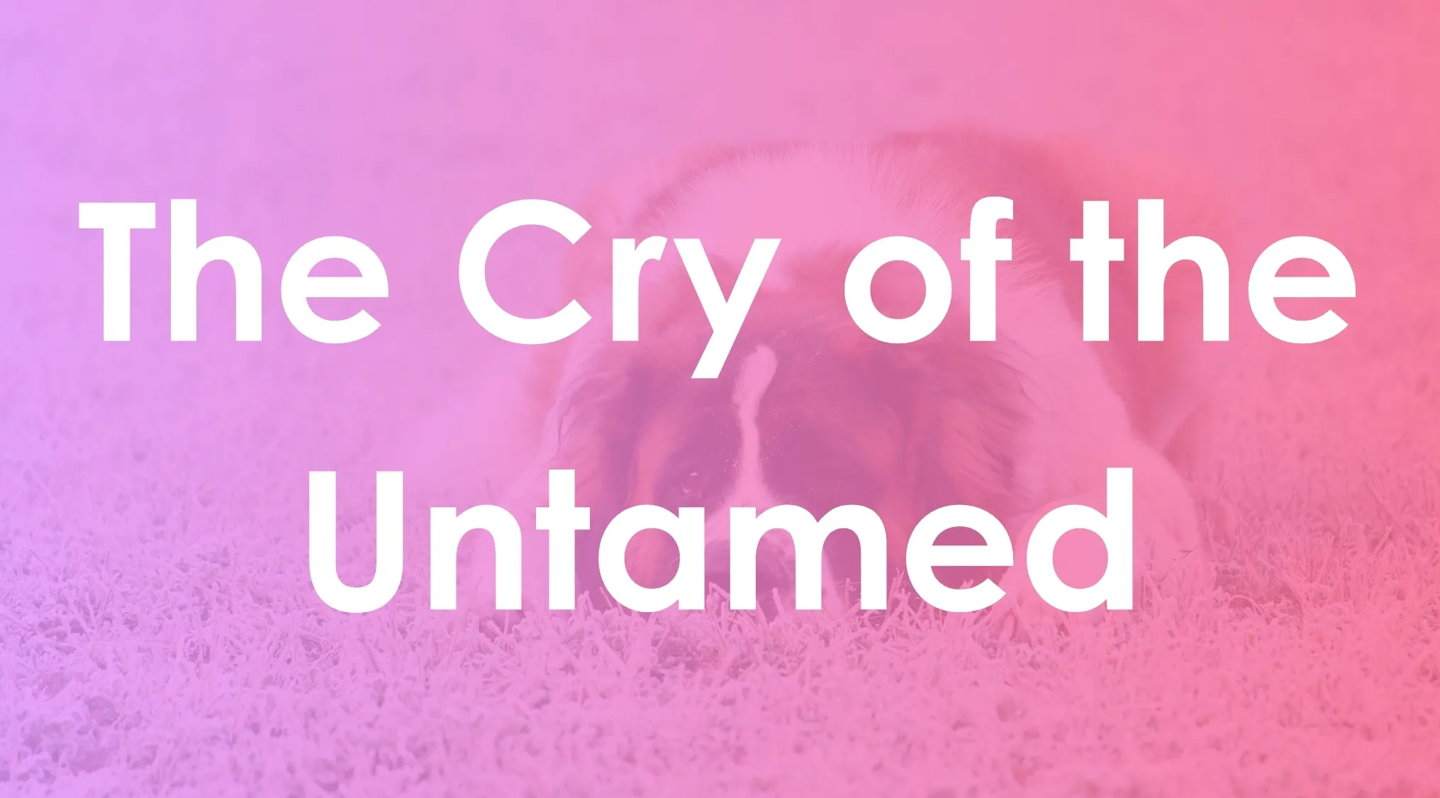 The Cry of the Untamed text overlay on a background of a resting dog on grass with pink and purple hues
