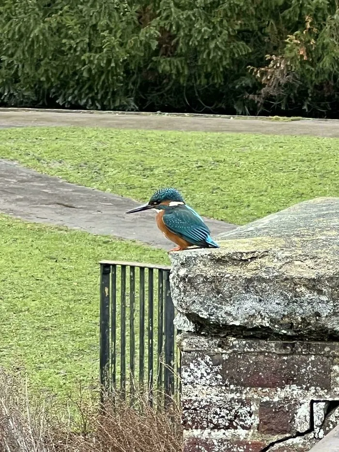 Met This Little Chap Today