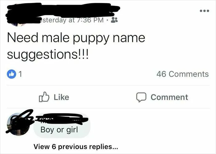 Screenshot of a social media post asking for male puppy name suggestions with a confusing reply about gender.