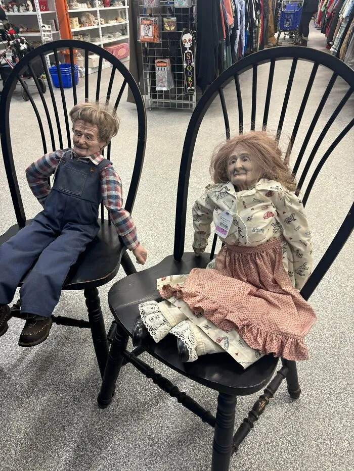 Found Waiting For A New Home At A Goodwill Thrift Shop I