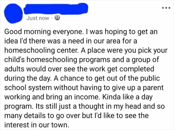 A Homeschool Person In My Local Facebook Group Just Invented... School