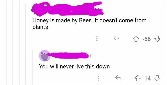 Screenshot of a social media post showing a misleading statement about honey, illustrating dumb posts that lower IQ.