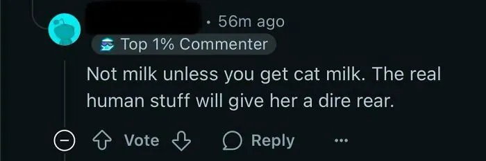 Screenshot of a confusing online comment illustrating lack of intelligence in dumb social media posts.