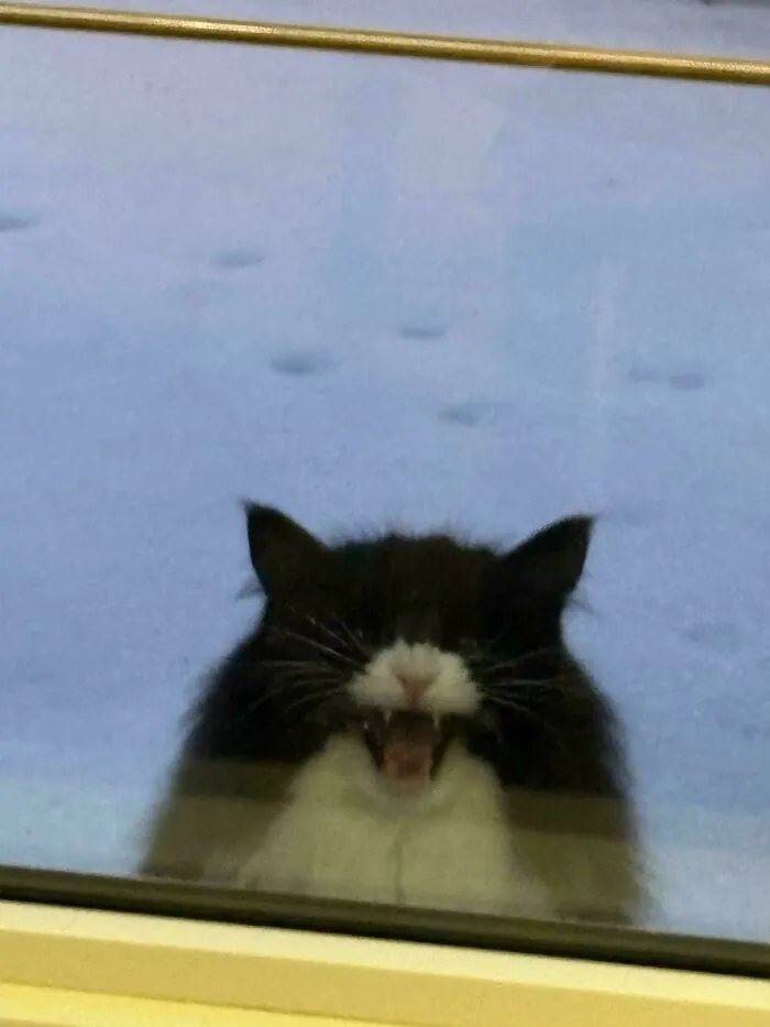 She Wanted To Be Let Inside Now