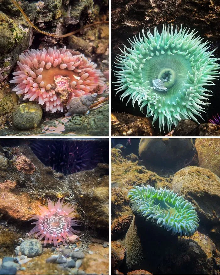 Some Of My Favourite Underwater Finds