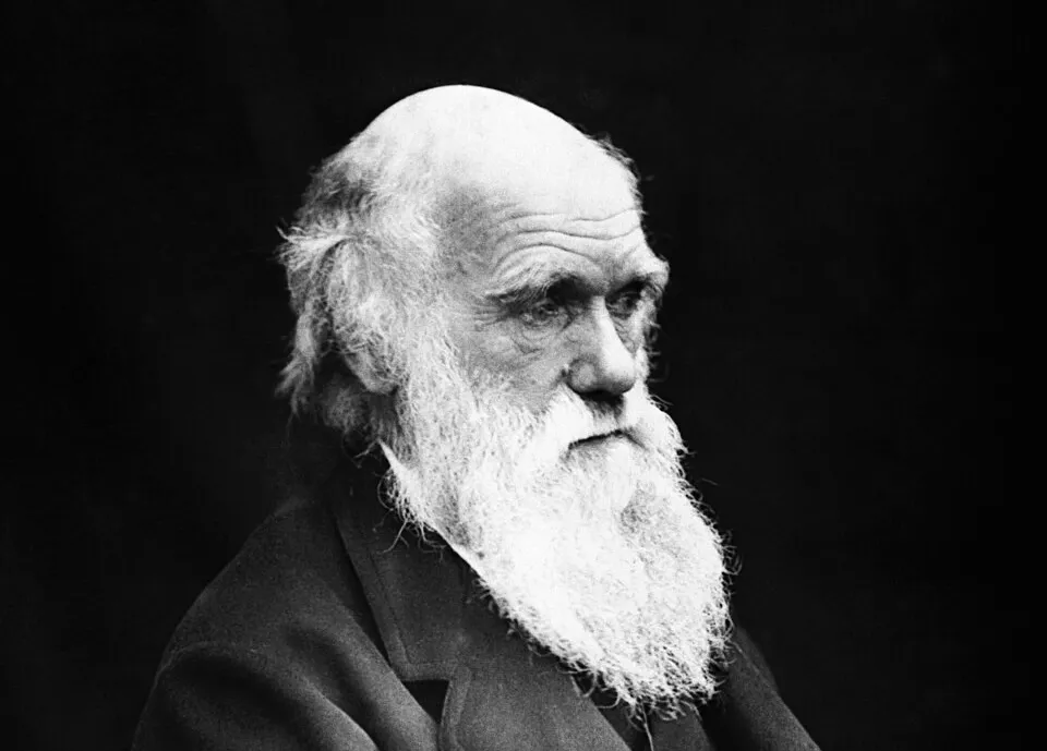 Black and white portrait of an elderly man with a long white beard, associated with Charles Darwin and genetics.