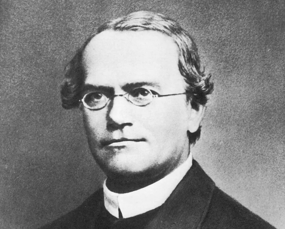 Portrait of Gregor Mendel, the father of genetics, known for discovering inheritance patterns in pea plants.