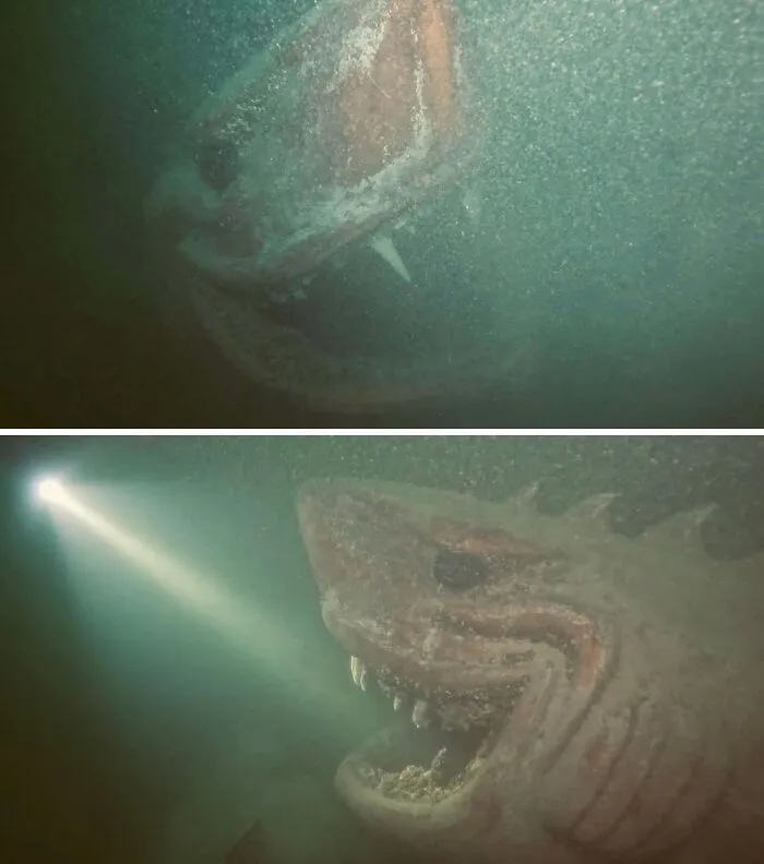 At A Depth Of 24 Metres In Lake Neuchatel, I Met Bruce