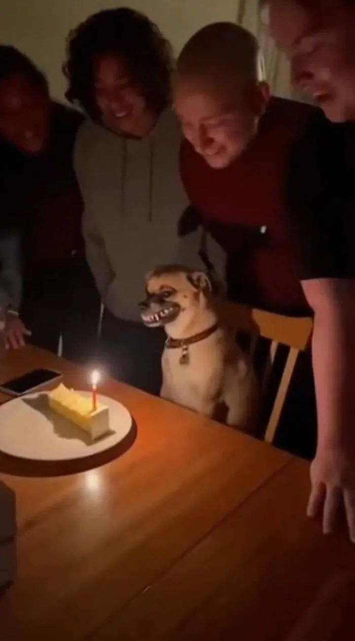 Group of people celebrating a dog's birthday with a cake and candle, showcasing beautiful bonds between humans and animals.