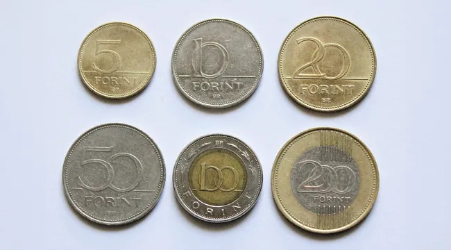 Various Hungarian forint coins including 5, 10, 20, 50, 100, and 200 denominations on a white background.