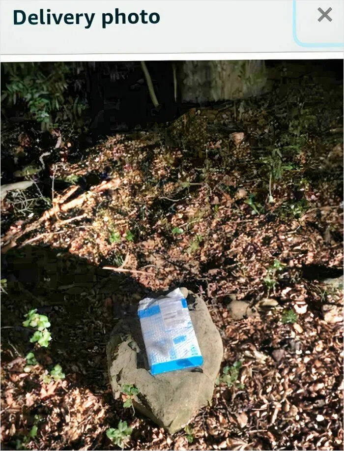 Amazon entregó mi paquete en una roca en lugar de en mi casa. Mi casa está en medio de un bosque de robles y no tengo ni idea de qué roca es.