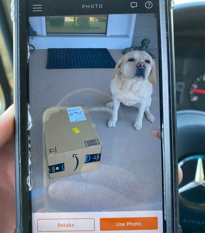 Este chico se subió a mi camioneta, caminó conmigo hasta la puerta y posó para una foto con el paquete.