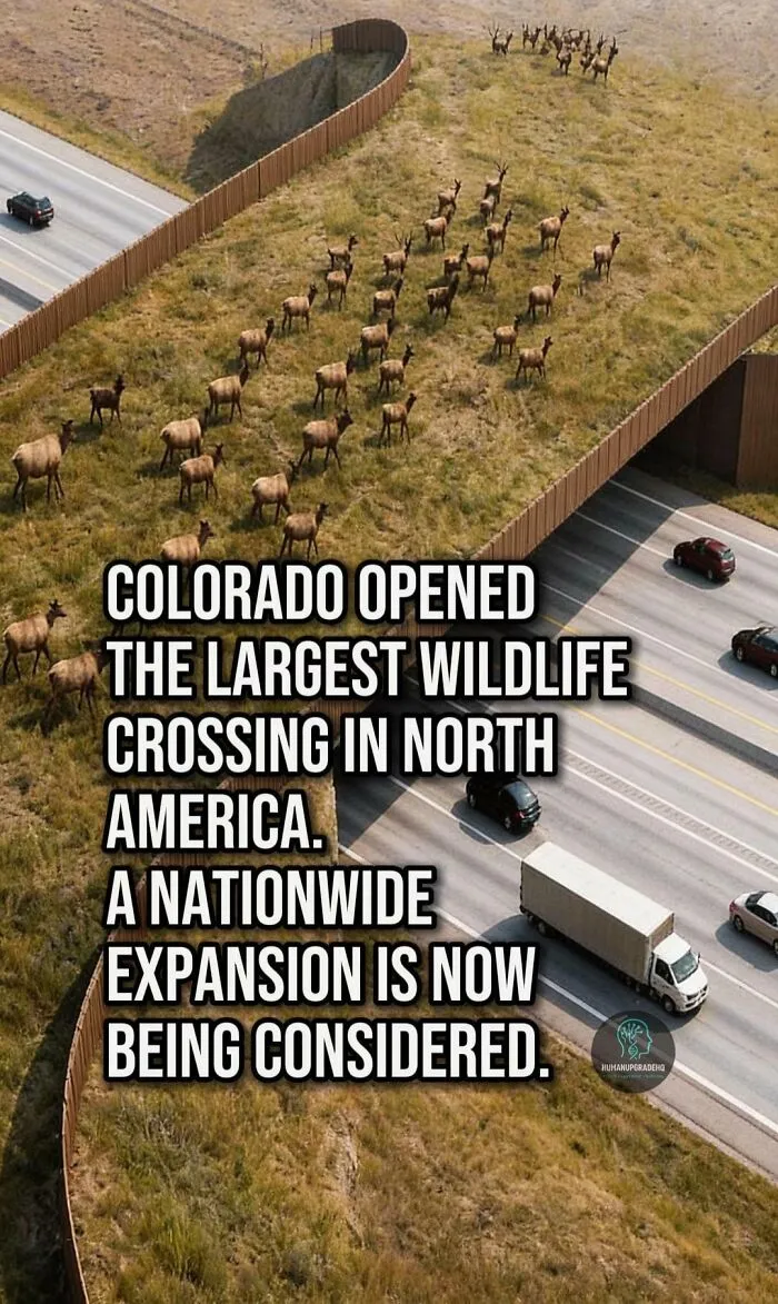 Tired Of Bad News? Here Are 50 Good Things That Happened Recently