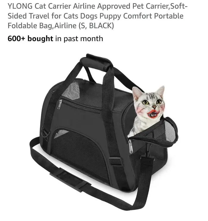 Was Looking For A Cat Carrier And Stumbled Onto This Gem