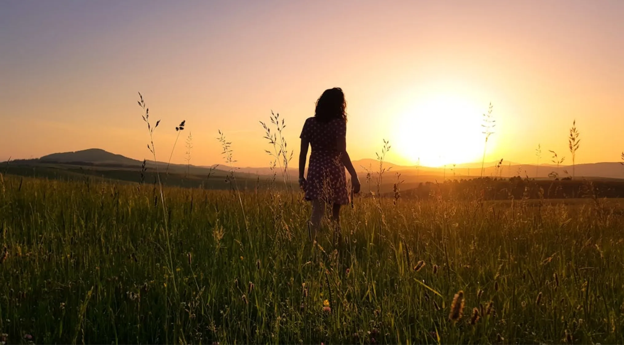 Silhouette of a woman standing in a field during sunset highlighting vitamin produced by sunlight in biology.