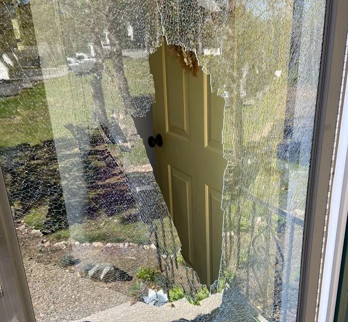 Estaba cortando el césped por primera vez esta temporada y la cortadora recogió una piedra y la lanzó contra la puerta de entrada.
