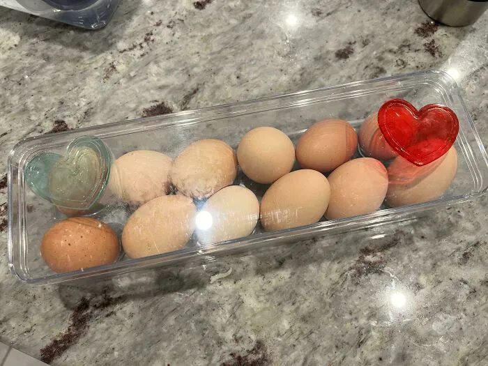 I Got Eggs As A Valentine’s Present From A Student