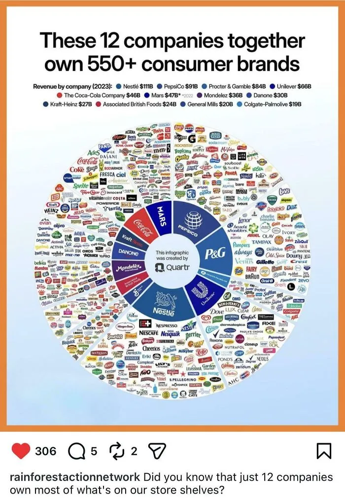 Infographic shows 12 companies owning 550+ consumer brands, highlighting the scale of consumerism and brand control.
