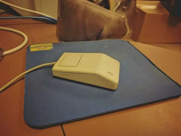Mi compañera de trabajo dijo que solo aceptaría un ratón oficial de Apple, así que lo saqué del almacén y lo dejé en su escritorio.