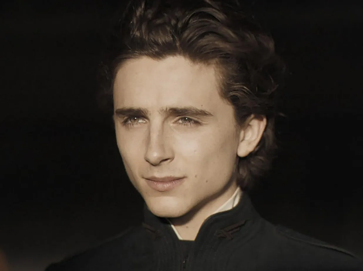 Close-up of Timothée Chalamet with styled hair, wearing a dark jacket, representing the face of Mission Impossible franchise.