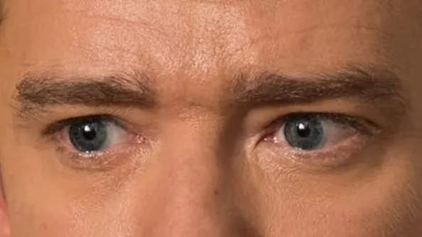 Close-up of celebrity eyes showing detailed iris and eyebrow features for Celebrity Eyes identification.