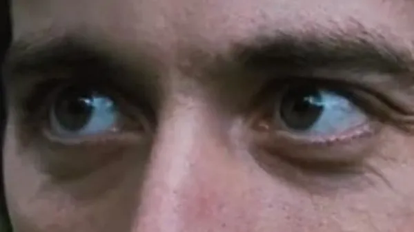 Close-up of celebrity eyes showing natural wrinkles and light reflections, focusing on celebrity eyes in detail.