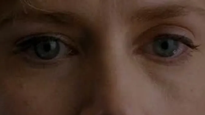 Close-up of blue celebrity eyes showing detailed eyelashes and skin texture for matching challenge.