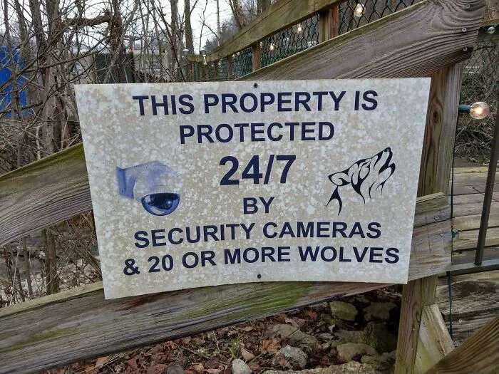 At A Nearby Wolf Sanctuary